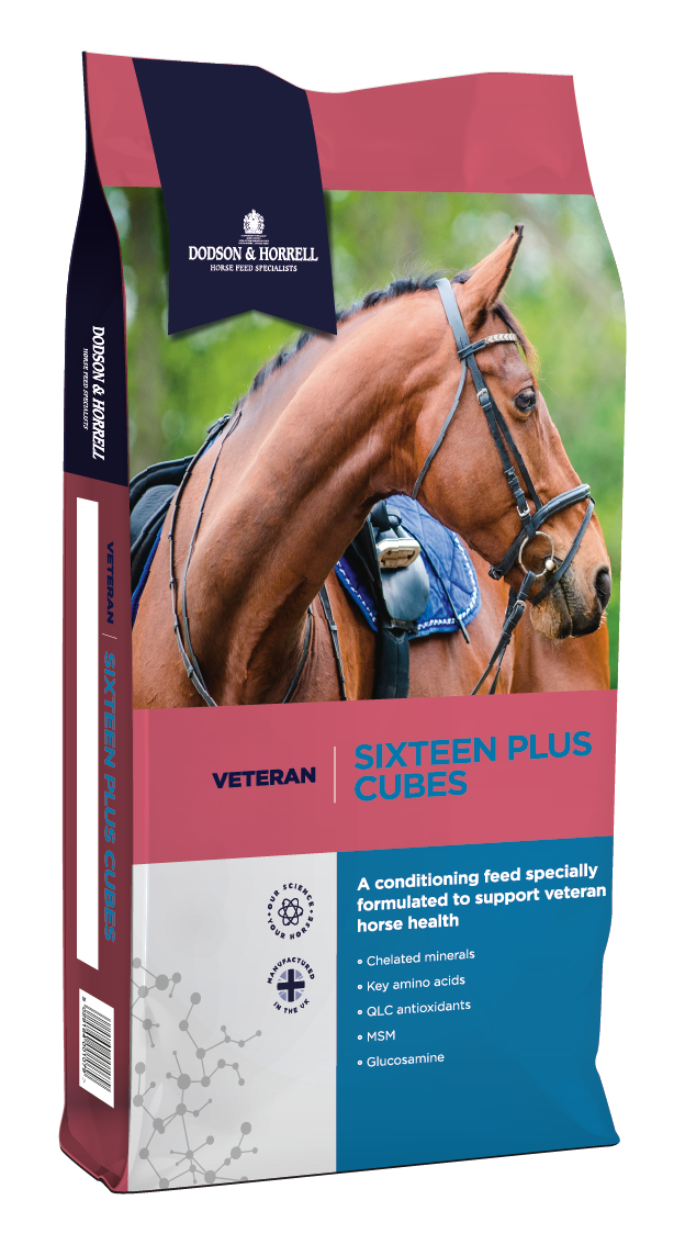 Product image for Sixteen Plus Cubes