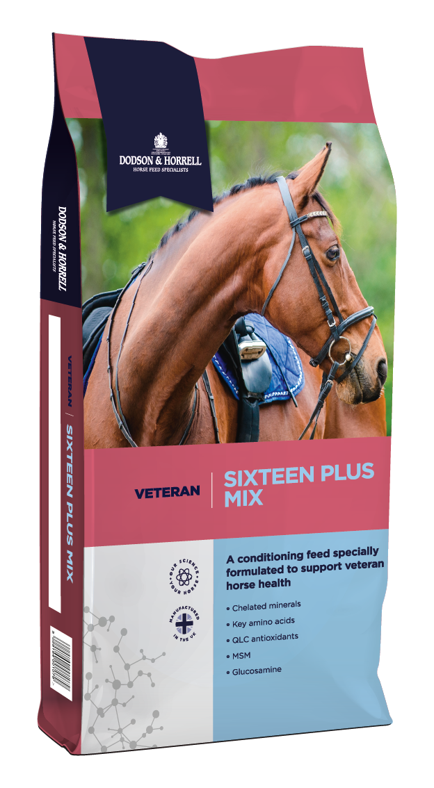 Product image for Sixteen Plus Mix